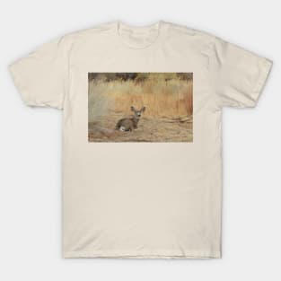 Deer, Wildlife, Mule Deer, Buck, Nature, Gifts T-Shirt